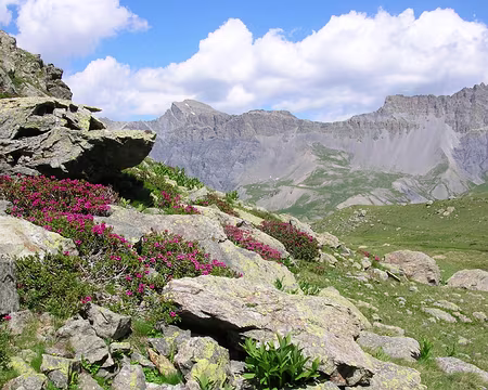 063 11_07 Tinee 083 bis dans le Salso Moreno