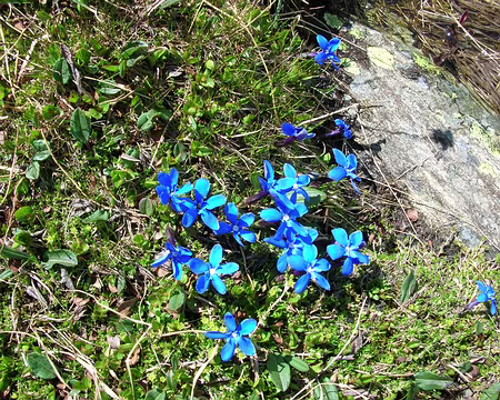 074 11_07 10 Tinee 096 des couleurs naturelles, pas de retouches!