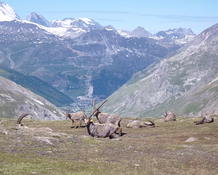 S1032202 bougez pas, on ne fait que passer...