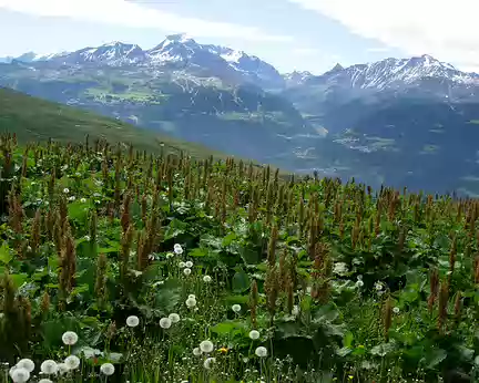 03 Vue panoramique sur lamassif de la Vanoise