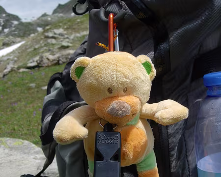 08a1JPGz587 Passager clandestin muni de son sifflet de secours