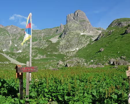 11 Pierra Menta face Est