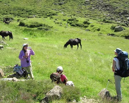 17 Les chevaux de Tignalbu