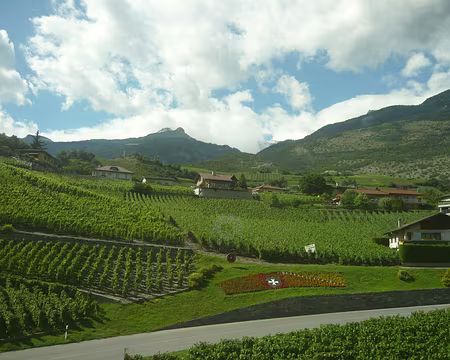 Pays Valaisans 083 Les fabriques de Fendant.