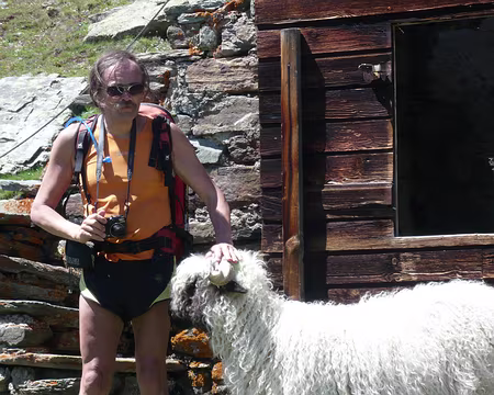 Pays Valaisans 160 Nos amis les bêtes (2) : moutons à poils.