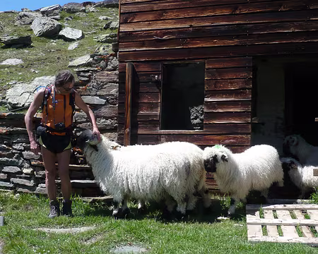 Pays Valaisans 162 Ils en redemandent et vont chercher les copains.