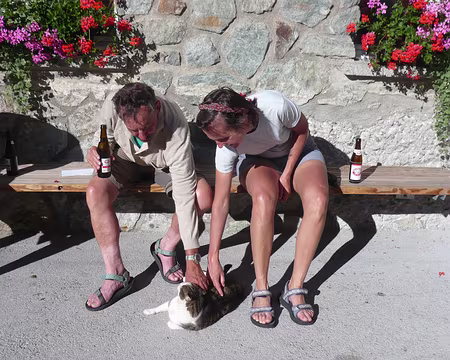 Pays Valaisans 185 Bel ensemble : Nos amis les bêtes (4).