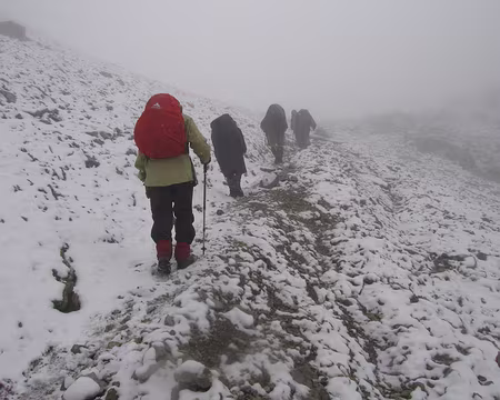 009 nous sommes le 15 juillet !