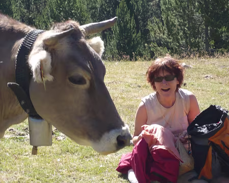 P1010722 Une vache vient nous importuner à la pause.