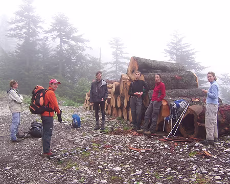 003 2ème jour : les participants, devant de gros troncs d'arbres coupés.
