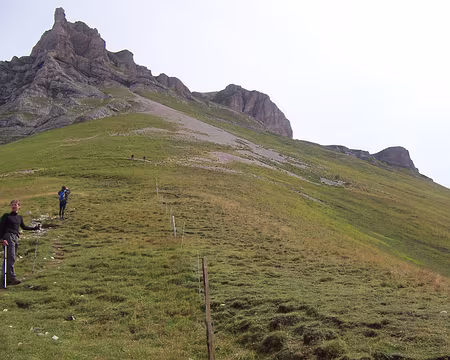 009 Au pied de la Tête du Lauzon.
