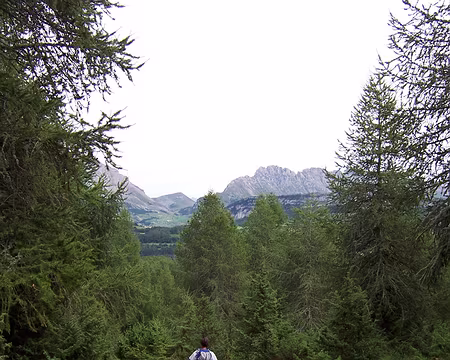 053 Les payasage minéraux font place à la verdure et...