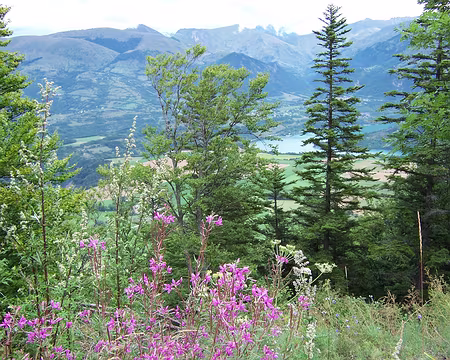071 Vue sur le lac du Sautet.