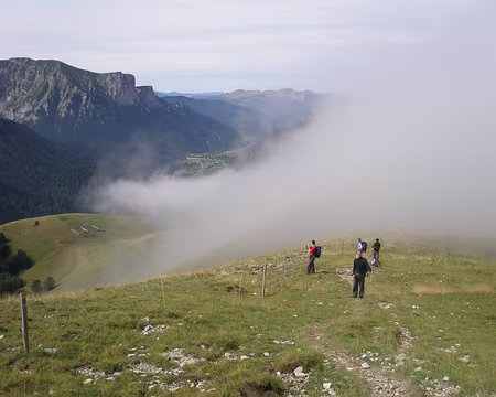 P8160037 Miracle cela se dégage