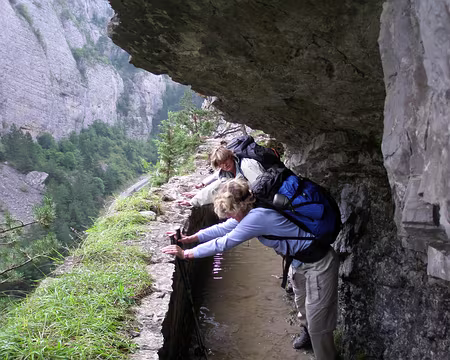 P8170089 Il y a un peu d'eau