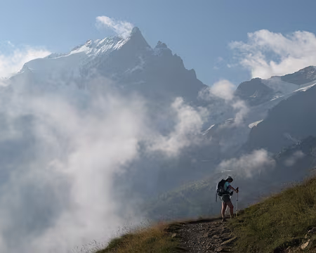 0114 La Meije depuis le plateau d'Emparis