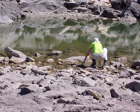 25 Tadpoles! Tadpoles!