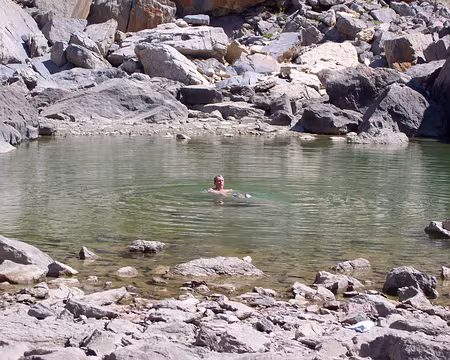 27 Tadpoles' friends!