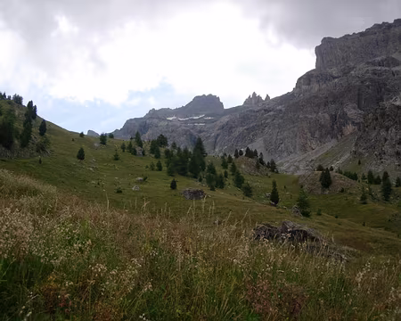 54 Vallon de la Selette