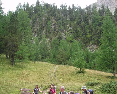 61 Mais où est passé notre Ours?