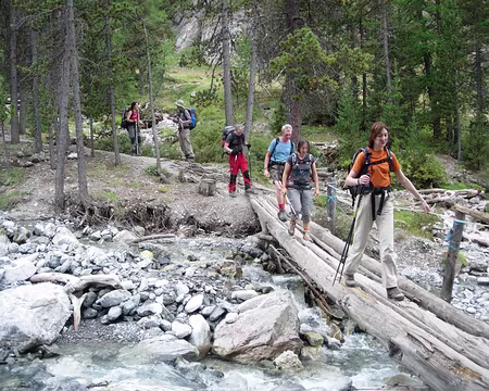 62 Pont-troncs-d'arbres