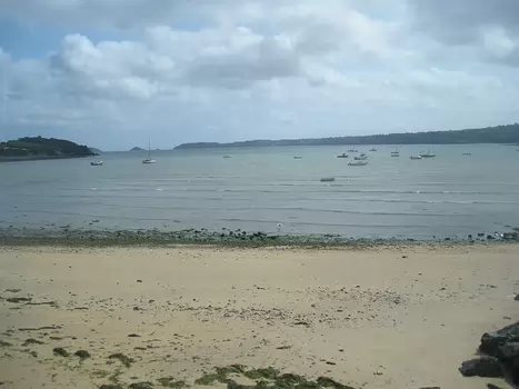 Forough détail de la sortie