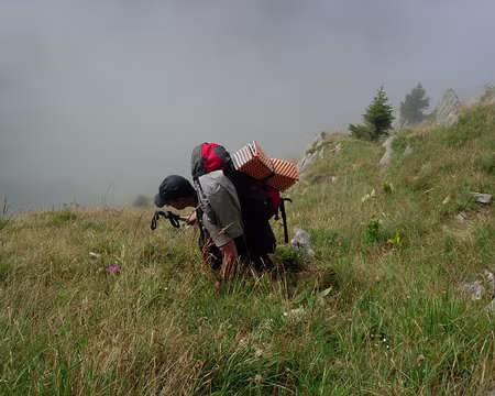 33 Le passage des moutons