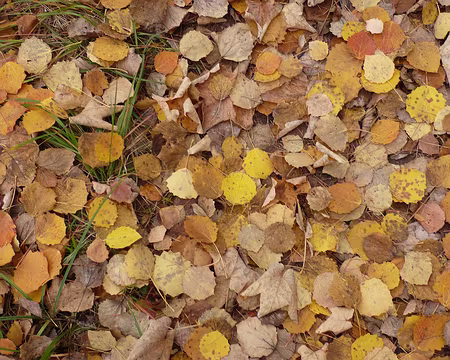 AlpesProvencales 0111b C'est l'automne, on va bientôt le vérifier.