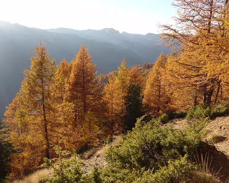 AlpesProvencales 021 Descente sur le vallon de Laverq.