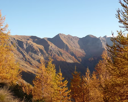 AlpesProvencales 022