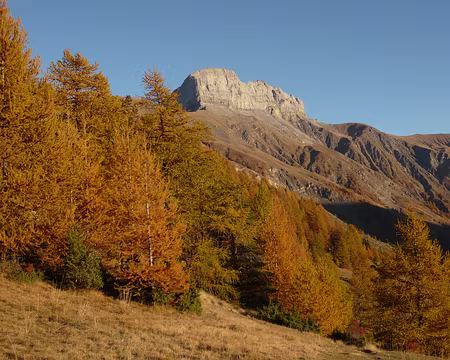 AlpesProvencales 024