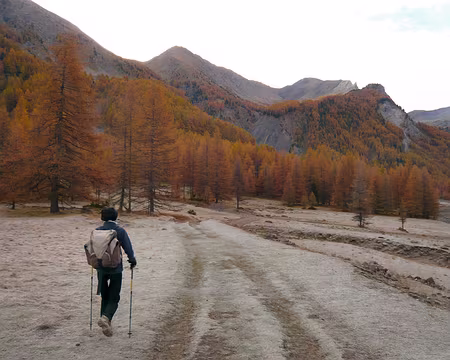 AlpesProvencales 043 Gelée blanche au sol le matin au départ.