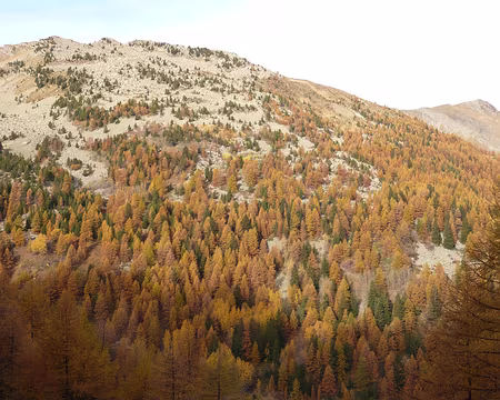 AlpesProvencales 046