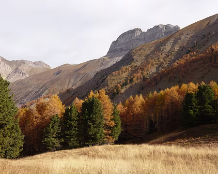 AlpesProvencales 049