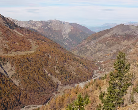 AlpesProvencales 052 Vallon de Laverq.