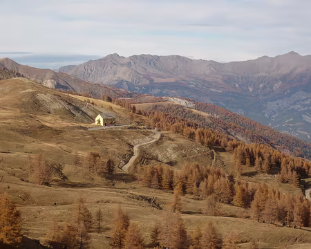AlpesProvencales 075a Au col d'Allos.