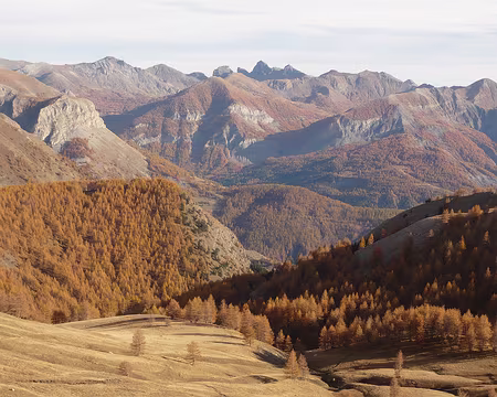 AlpesProvencales 077