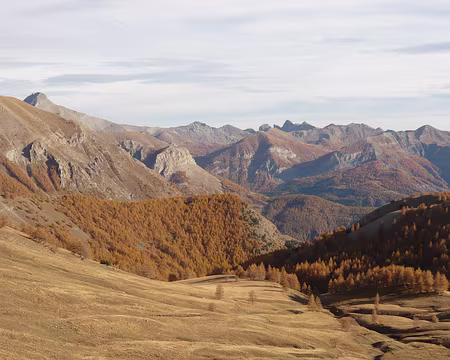 AlpesProvencales 078