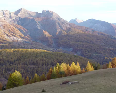 AlpesProvencales 106a