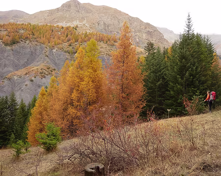 AlpesProvencales 119