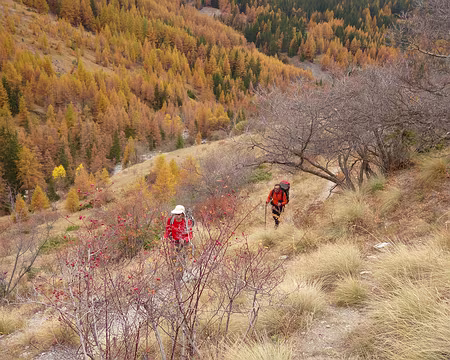 AlpesProvencales 122 Montée vers le lac d'Allos.