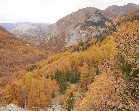 AlpesProvencales 140