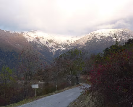 AlpesProvencales 198 Il a bien neigé pendant la nuit, tous les sommets sont blancs à moins de 1800 m.