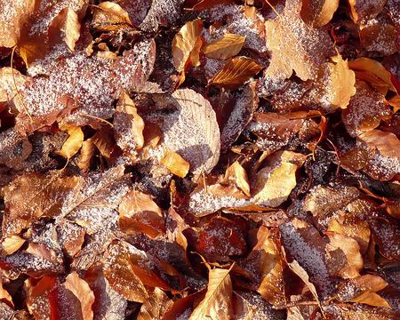 AlpesProvencales 208