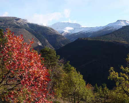 AlpesProvencales 212 Il fait de plus en plus beau, l'idée du train s'éloigne de nous.