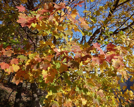 AlpesProvencales 218