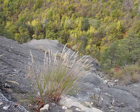 AlpesProvencales 237