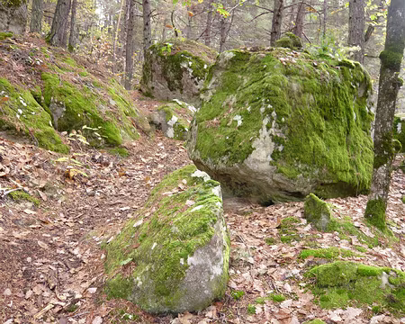 AlpesProvencales 238 Blocs de grès : il me semble que nous avons les mêmes à la maison ...