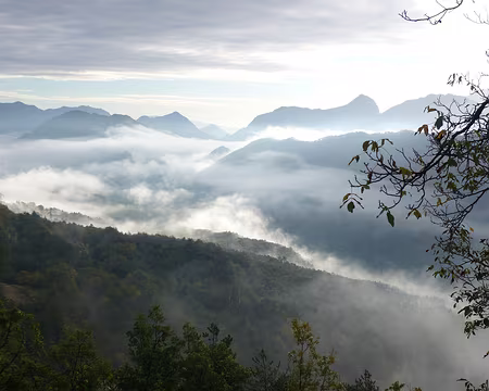 AlpesProvencales 291