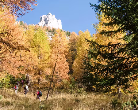 Montée au Col de Séolane Montée au col de Séolane